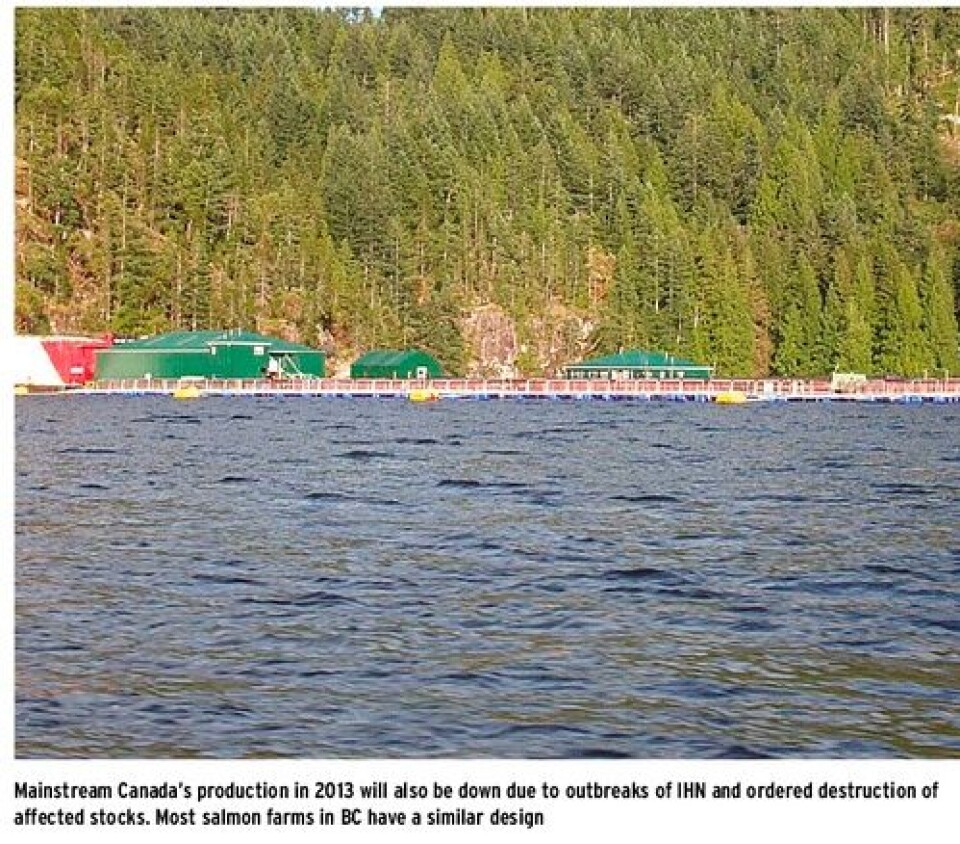 Political Excitement and Profitability return for Salmon Farmers in British Columbia