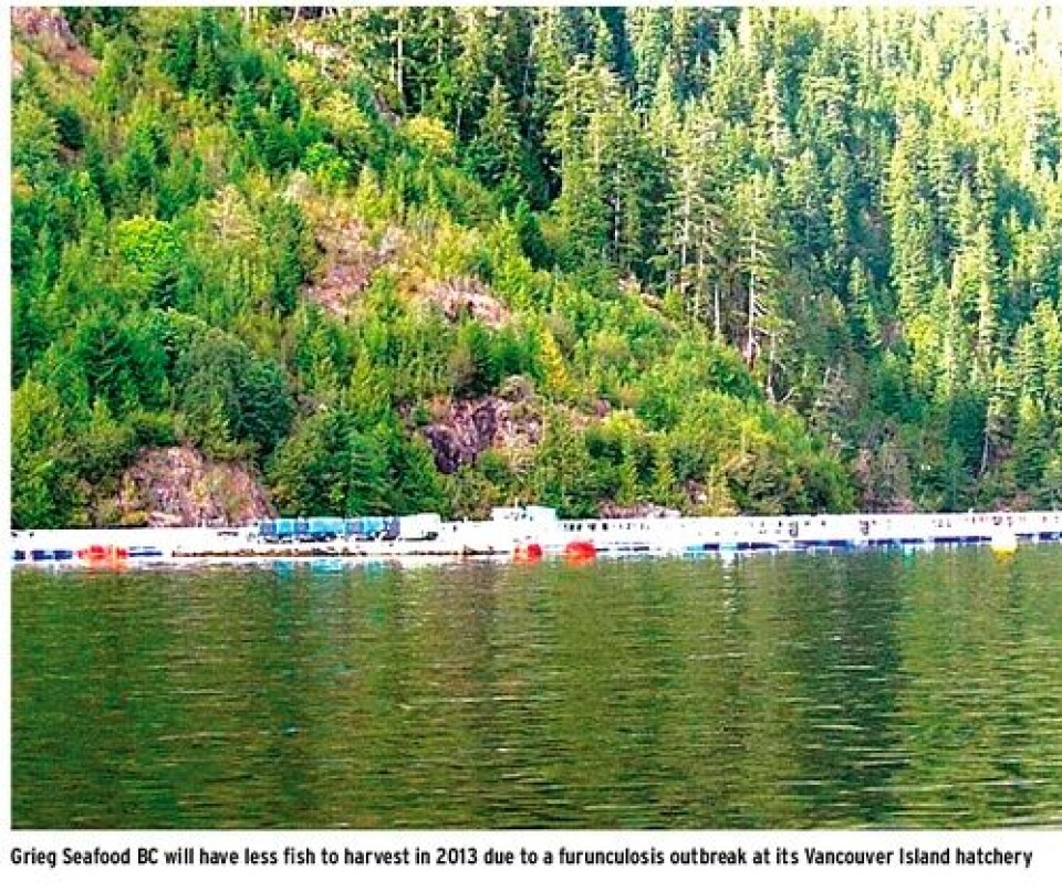Political Excitement and Profitability return for Salmon Farmers in British Columbia