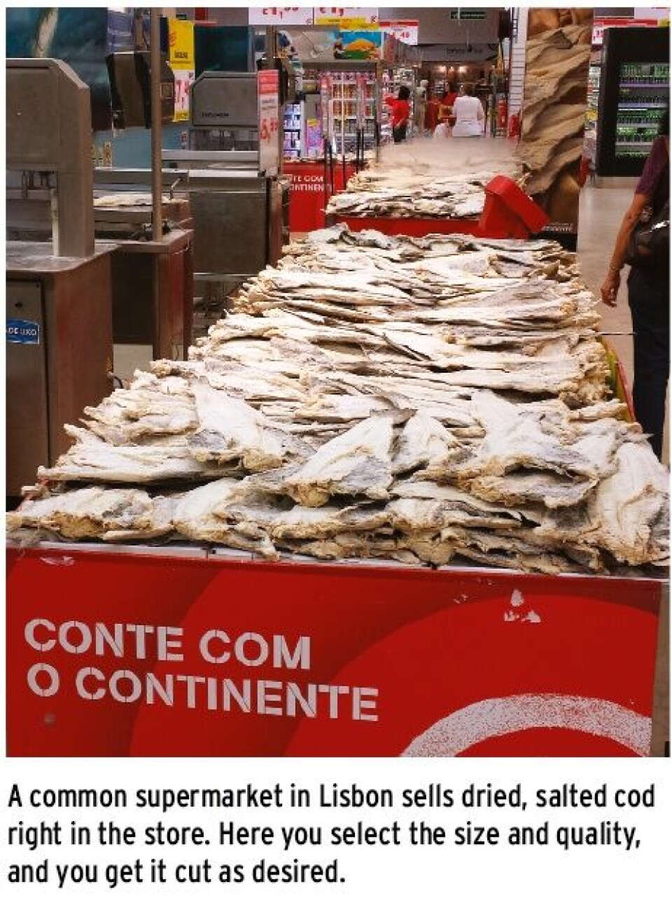Portugal – a seafood friend in south