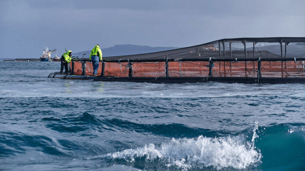 A salmon farm near Skye. Prior to the end of the Brexit transition period, salmon could be harvested in the early hours of one day and be in Boulogne the next. Photo: SSPO.