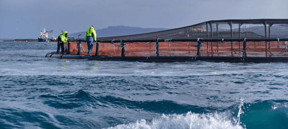 Salmonid farmers launch mass challenge to licence changes