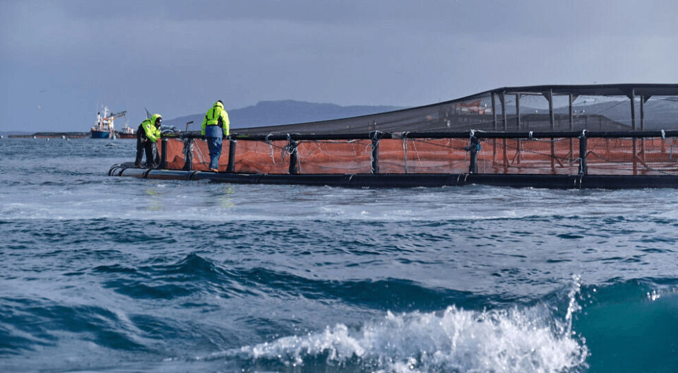 Salmonid farmers launch mass challenge to licence changes
