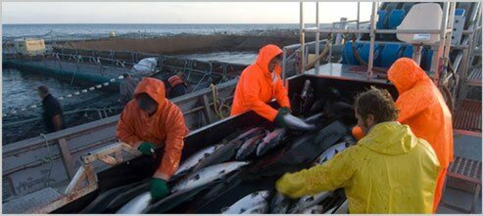 Potential fish escape reported by MHC