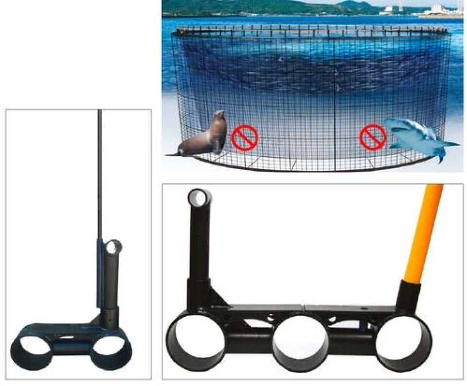 Predator proof cages