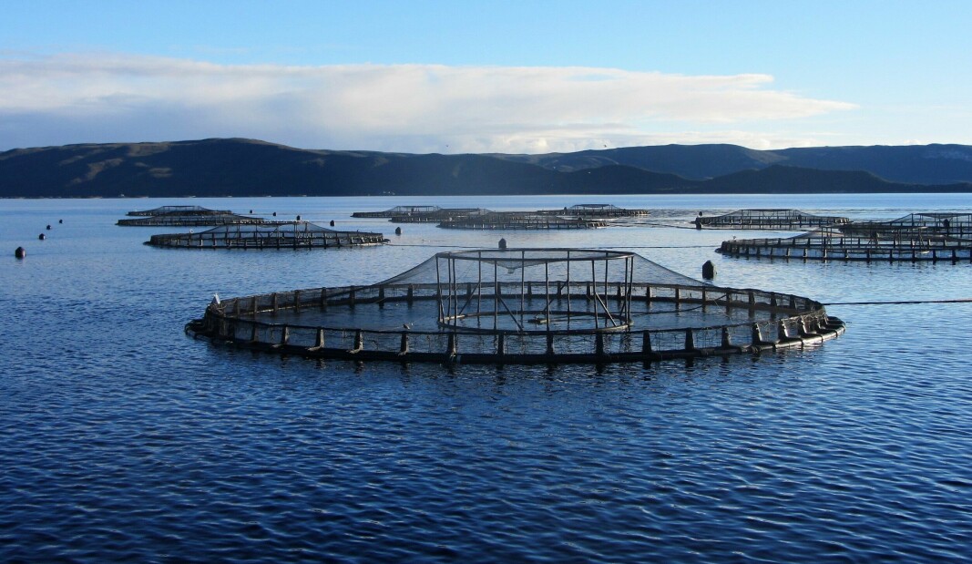 A Tassal salmon farm in Tasmania. Canadian family-owned fish farmer Cooke Inc. will buy the company later this month, subject to court approval.