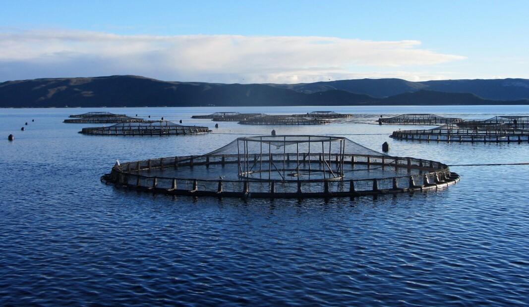 A Tassal salmon farm in Tasmania. Canadian family-owned fish farmer Cooke Inc. will buy the company later this month, subject to court approval. A Tassal salmon farm in Tasmania. Canadian family-owned fish farmer Cooke Inc. will buy the company later this month, subject to court approval.