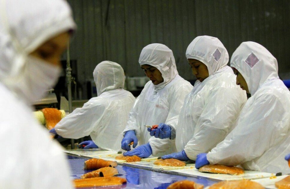 Workers at a Salmones Camanchaca processing facility.