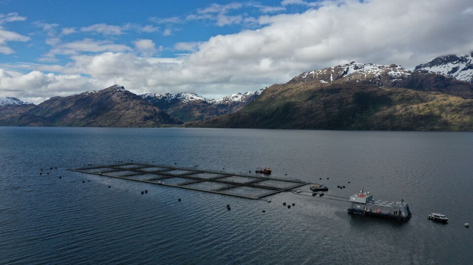 Illustrative photo of a Chilean salmon farm.