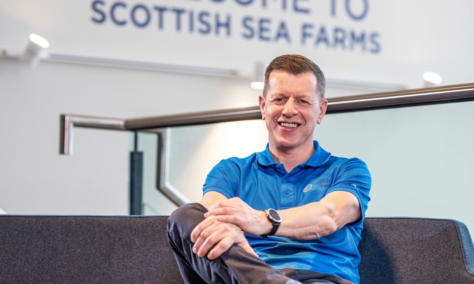 SSF boss Jim Gallagher will be sitting more comfortably after seeing positive changes for the Scotland salmon producer.