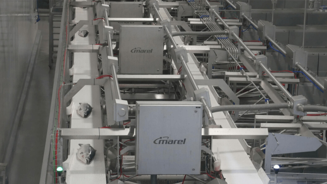 Bakkafrost has been able to use VAP capacity at its Glyvrar processing plant to meet changing demand. Photo: FFE. Bakkafrost has been able to use VAP capacity at its Glyvrar processing plant to meet changing demand. Photo: FFE.