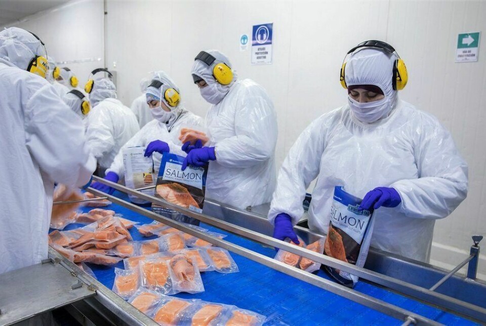 Fewer people are currently employed in processing in the Magallanes region of Chile.