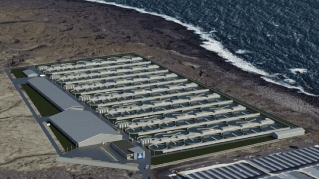 An illustration of the Samherji salmon farm to be sited next to a geothermal power station. The facility will use warm water from the power station that would otherwise go straight back into the sea. Illustration: Samherji. An illustration of the Samherji salmon farm to be sited next to a geothermal power station. The facility will use warm water from the power station that would otherwise go straight back into the sea. Illustration: Samherji.