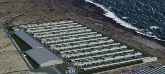 Samherji plugs into power station for £263m eco-friendly salmon plant