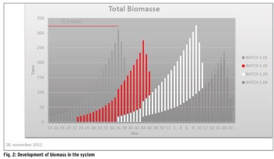 Production of large postsmolt by recirculation