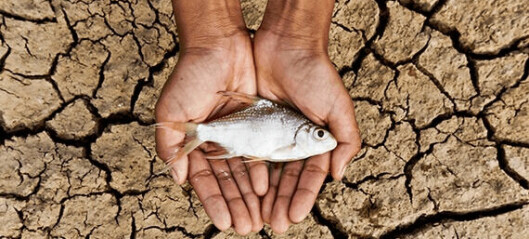 Scientists sound climate change warning to fish farmers
