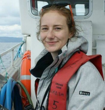 Charlotte Findlay: There is the potential for temporary hearing loss in harbour porpoises. Photo: SAMS. Charlotte Findlay: There is the potential for temporary hearing loss in harbour porpoises. Photo: SAMS.