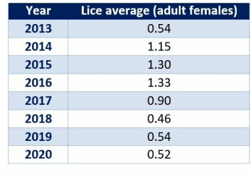 Scottish salmon farm sea lice averages since 2013. Table: SSPO.