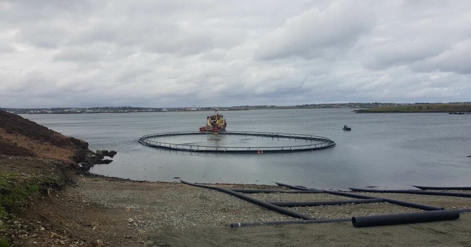 One of Mowi's 200-metre pens being towed from Scale AQ's assembly site at Arnish Point, Isle of Lewis, by the Inverlussa Marine Services vessel Gina Mary. Photo: Scale AQ.