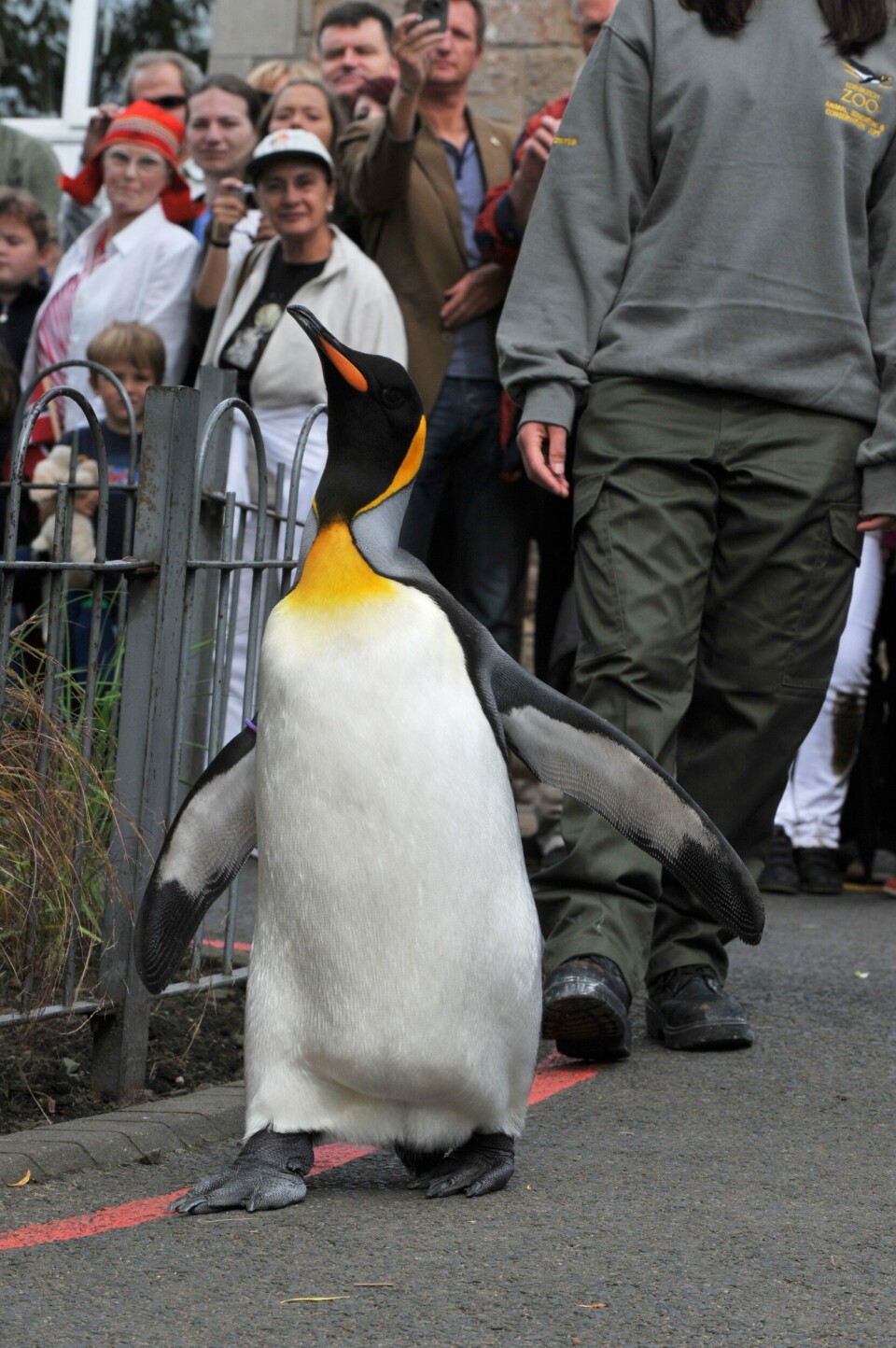 One of Scotland and Norway's most famous links is the king penguin, Nils Olav - a resident of Edinburgh Zoo who is also Honorary Commander-in-Chief of the Norwegian army.