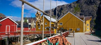 Scottish aquaculture on the agenda at Lofoten