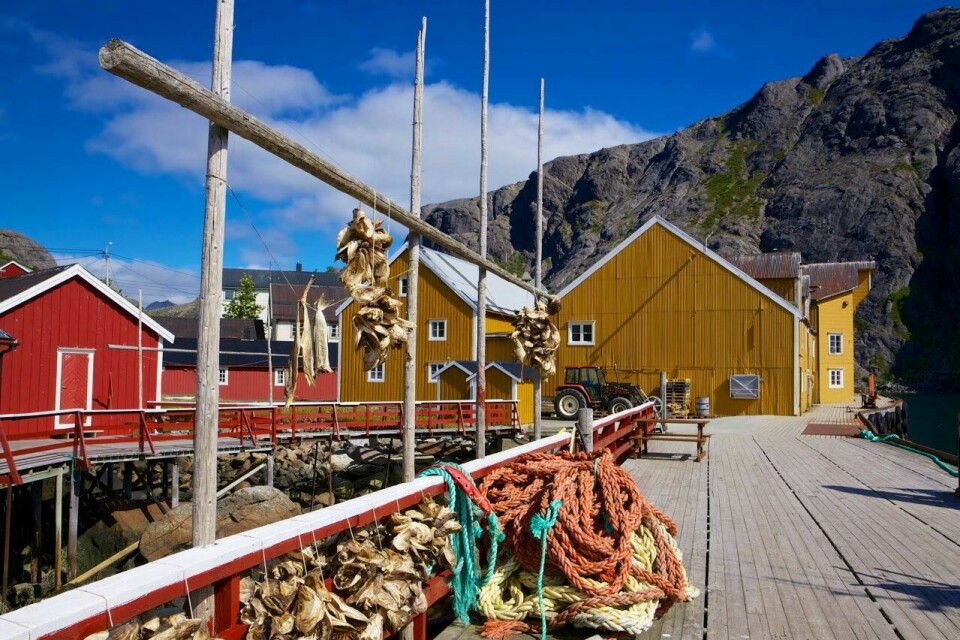 Europharma’s fish health seminar in the picturesque village of Nusfjord gets under way tomorrow.