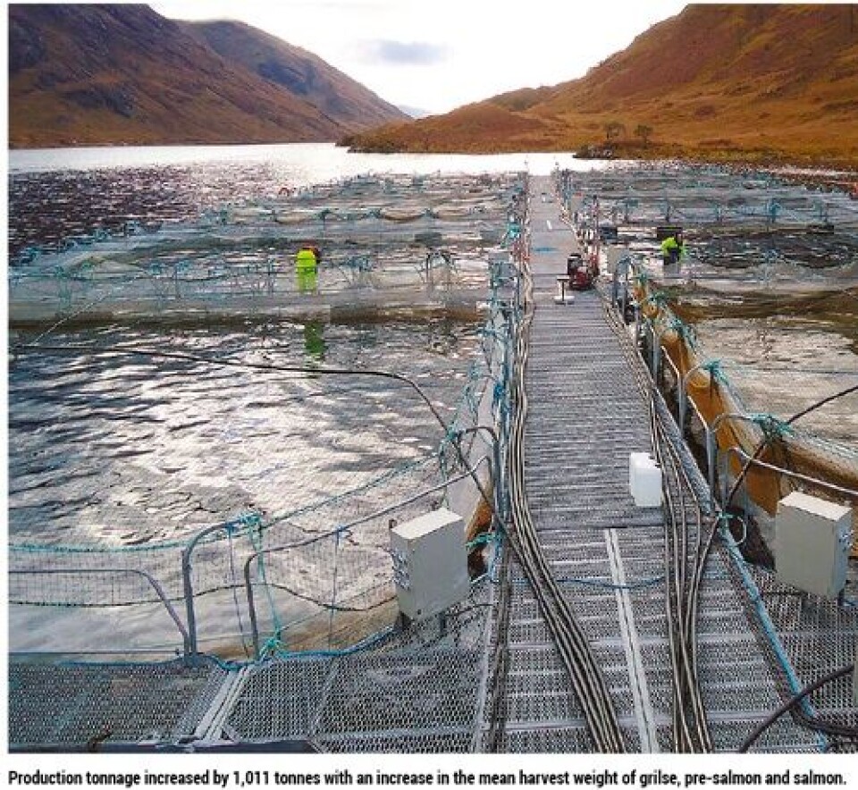 Scottish Fish Farm Production Survey 2013:Highest production level in a decade