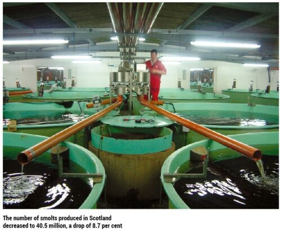 Scottish Fish Farm Production Survey 2013:Highest production level in a decade