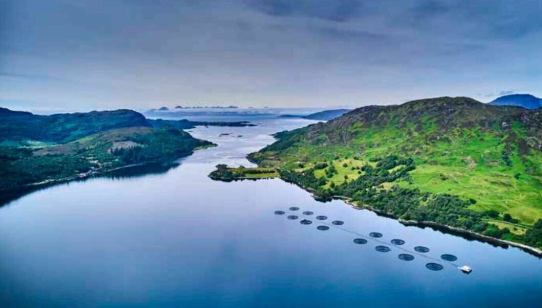 A Scottish Salmon Company site. Photo: Bakkafrost 2021 annual report. A Scottish Salmon Company site. Photo: Bakkafrost 2021 annual report.
