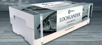 Scottish Salmon Company makes record Q1 revenues