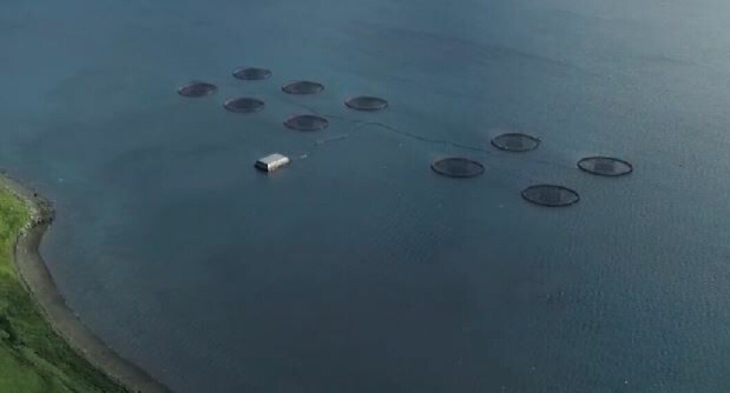 A Scottish Salmon Company site. The farmer harvested 3,000 fewer gutted weight tonnes in Q1 than in the same period last year. A Scottish Salmon Company site. The farmer harvested 3,000 fewer gutted weight tonnes in Q1 than in the same period last year.