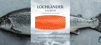 Scottish Salmon Company shortlisted for three awards