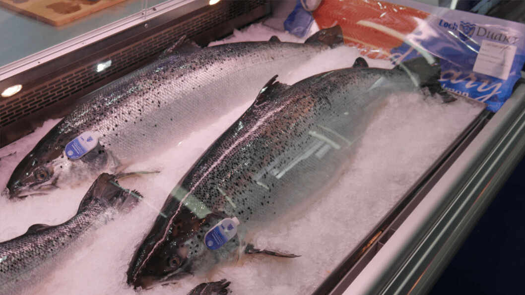 Loch Duart Salmon broodfish on display at the last edition of Seafood Expo Global in 2019. Photo: FFE.