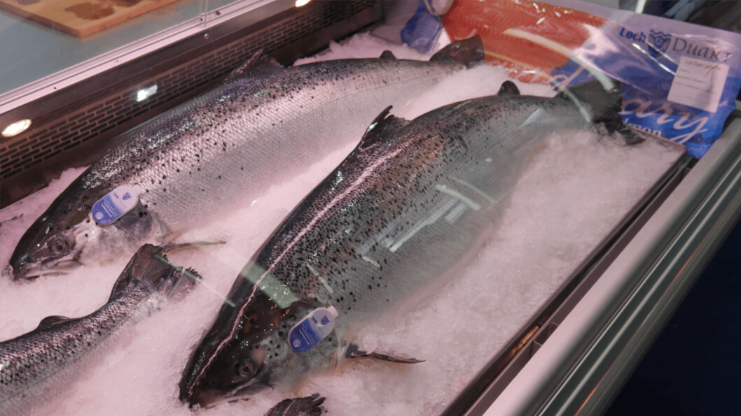 Loch Duart Salmon broodfish on display at the last edition of Seafood Expo Global in 2019. Photo: FFE. Loch Duart Salmon broodfish on display at the last edition of Seafood Expo Global in 2019. Photo: FFE.