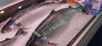 Scottish salmon farmers poised to gain in Spain