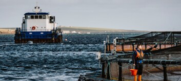 Scottish Sea Farms increased operating profit by 37% in second quarter