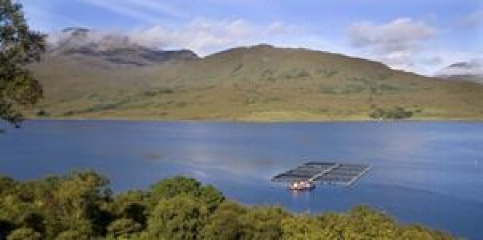 Nice weather, shame about the smaller fish: rising water temperatures are not good news for salmon farmers.
