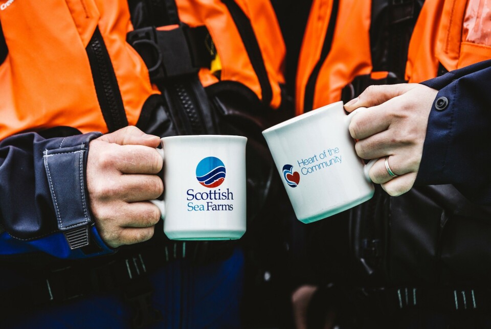 Cup of cheer: 'Unique biological challenges' led to Scottish Sea Farms making an operating loss of £15.6m last year, its annual report reveals, but the company has since returned to profit.