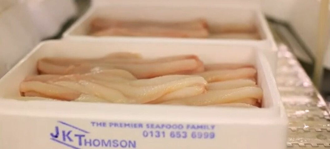 Scottish seafood processors given £5.6m in Covid-19 aid