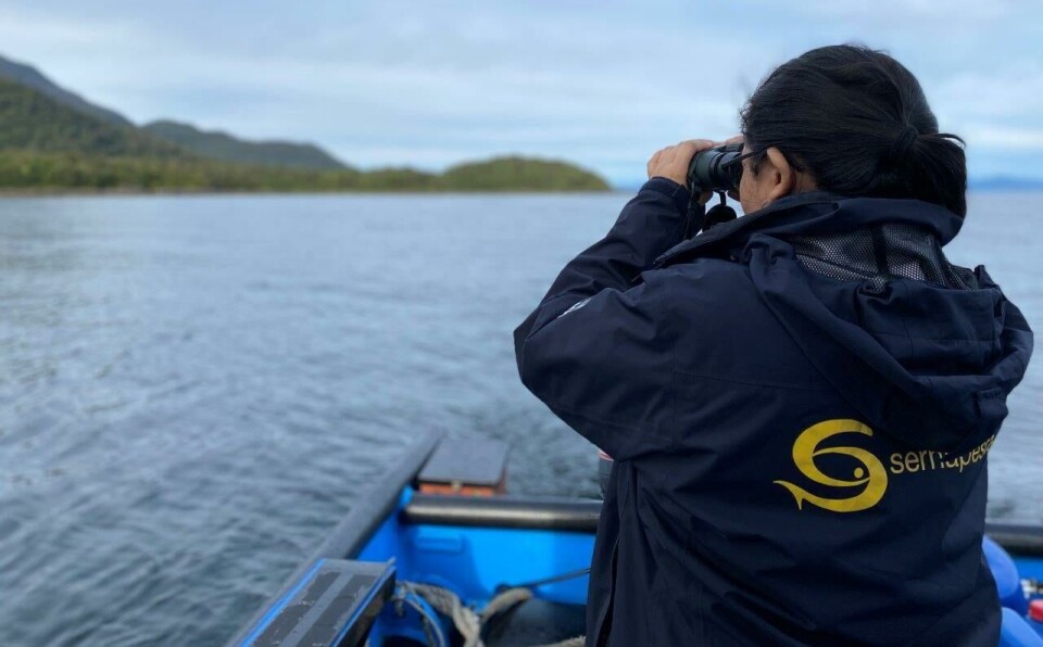 SRS pushed Chilean salmon farming antibiotic use up by 9.7% last year