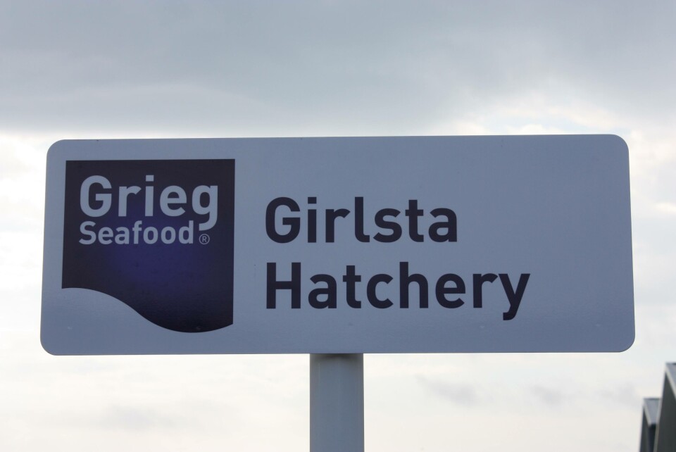 Shetland and Rogaland top Grieg table