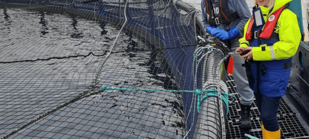 Shetland MSP gets up to speed with salmon farming