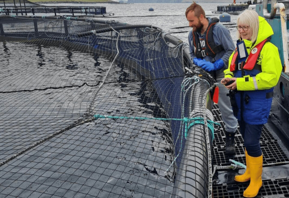 Shetland MSP Beatrice Wishart with Shetland regional manager David Brown during a visit to Cooke Aquaculture Scotland's Vee Taing salmon farm today. Photo: Cooke Aquaculture Scotland.
