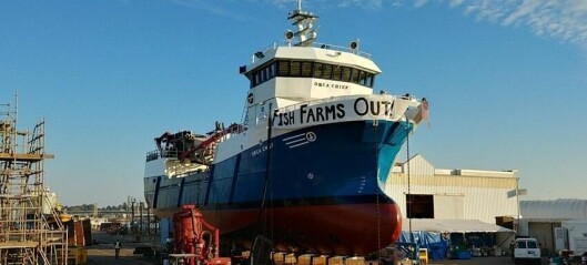 Shipyard tightens security after wellboat protest