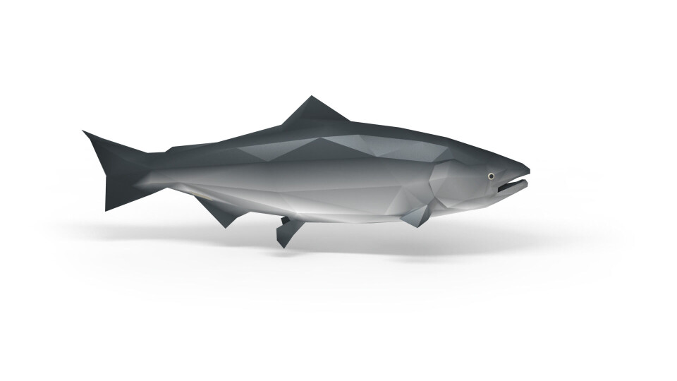 The salmon cycle is animated. Image: BluePlanet Academy.