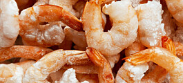 Shrimp giant forges new link in the blockchain