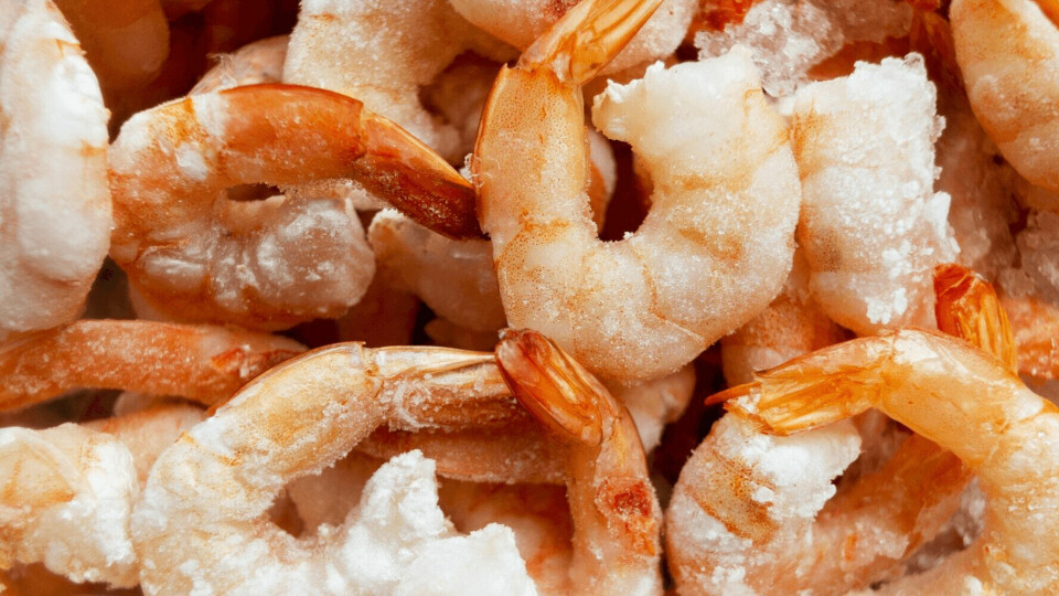 A reference image of frozen shrimp. Nuevo Pescanova has teamed up with IBM to ensure traceability of its products, beginning with two key operations, shrimp fishing in Argentina and the cultivation of Vannamei shrimp in Ecuador. Photo: Nuevo Pescanova.