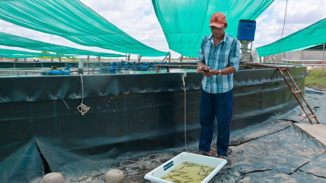 A Vietnamese shrimp farmer uses the app. Photo: XpertSea. A Vietnamese shrimp farmer uses the app. Photo: XpertSea.