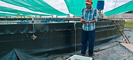 Shrimp production packed into an app