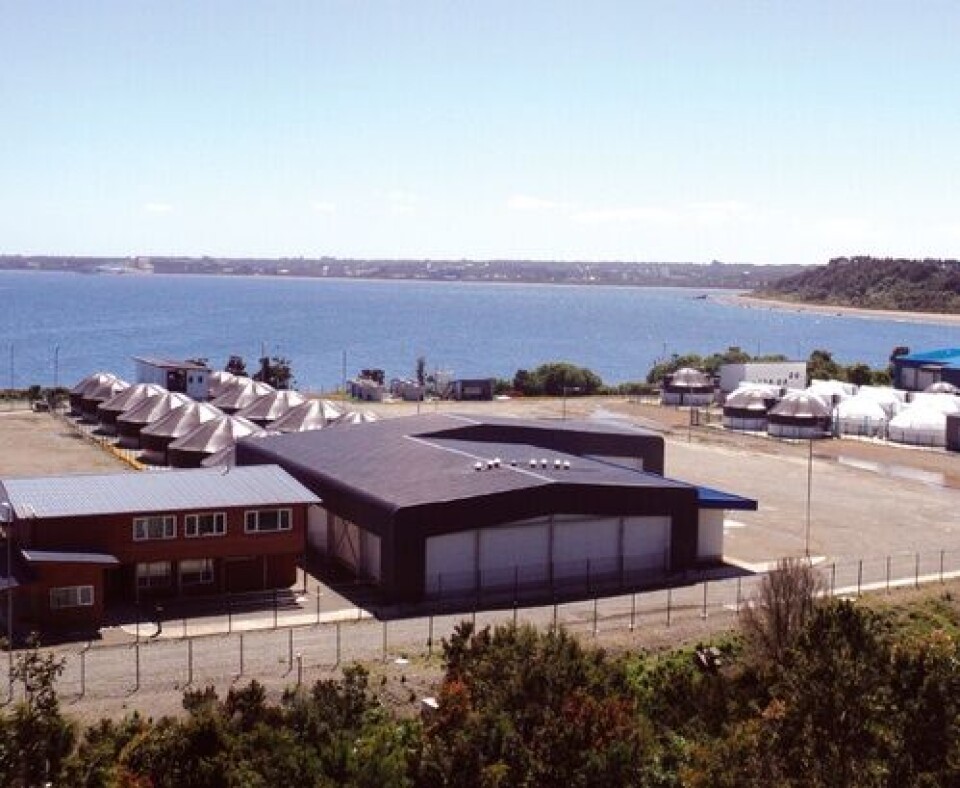 Smolt year round