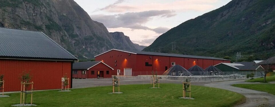 Sunndalsøra. Image: Nofima.